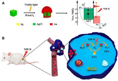 Progress of Nanomaterials in Photodynamic Therapy Against Tumor